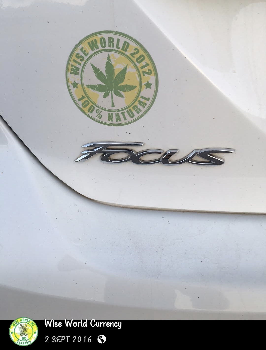 Wise World 2012 · 100% Natural sticker